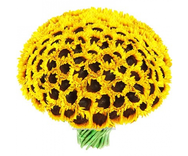 Sunflowers Large bouquet "101 sunflower"