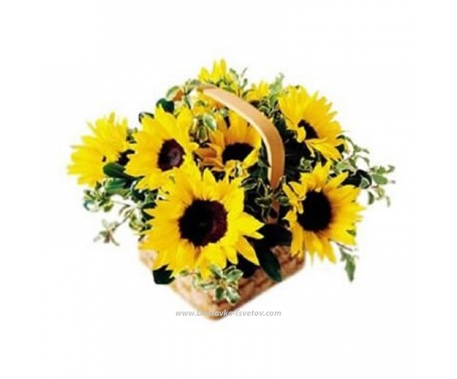 Sunflowers Basket "Yellow Arrow"