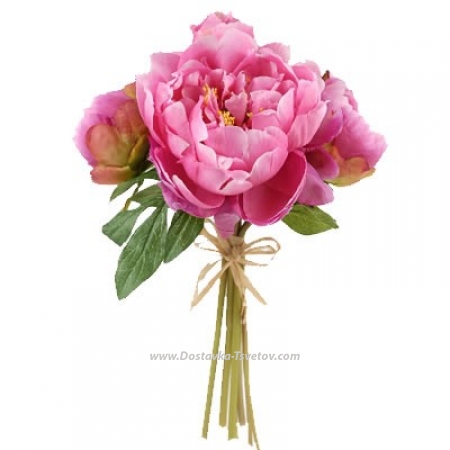 Pink peonies "Angelina"