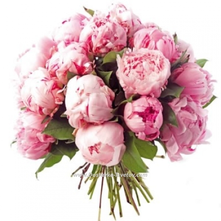 Pink bouquet "Fabulous Peony"