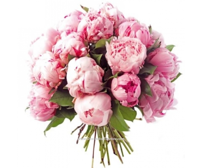 Peonies Pink bouquet "Fabulous Peony"