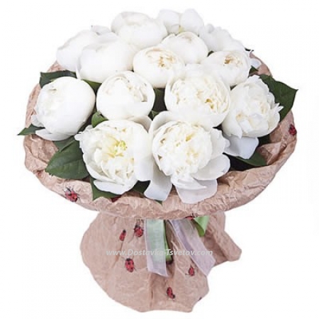 White peonies "Avalanche of Love"