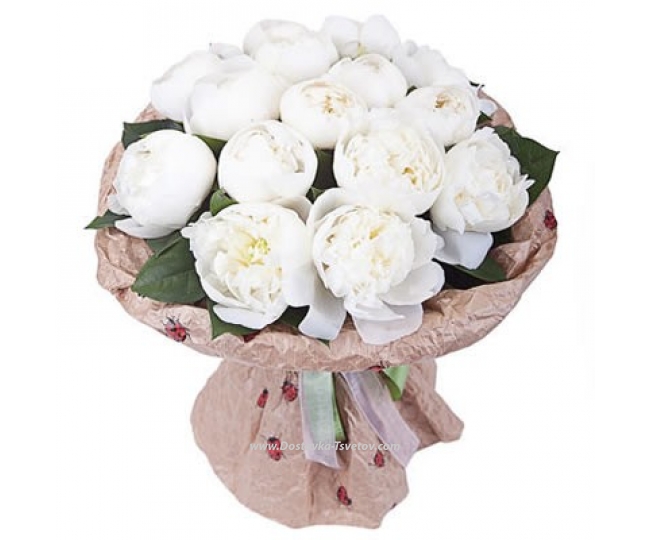 Peonies White peonies "Avalanche of Love"