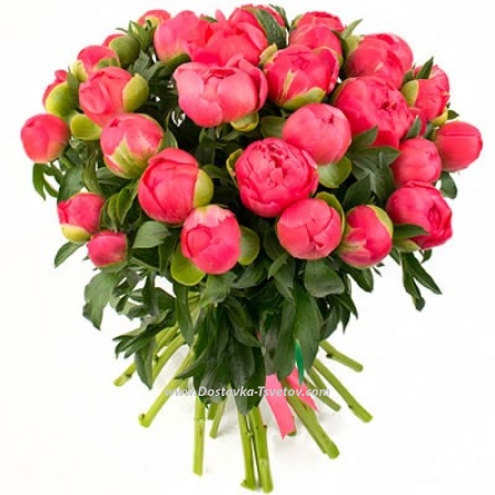 Bouquet of flowers "Peony Valley"