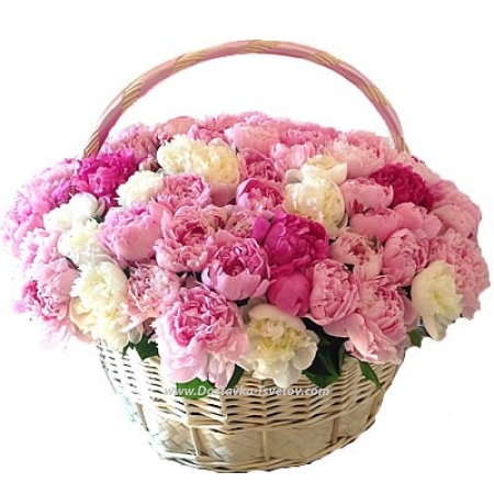 Bouquet of gorgeous peonies "Surprise"