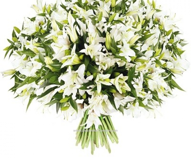 Lilies White lilies "Snow Waltz"