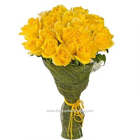 Yellow roses "Warmth of Summer"