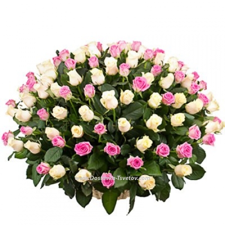 Basket of 101 delicate roses "Sofia"