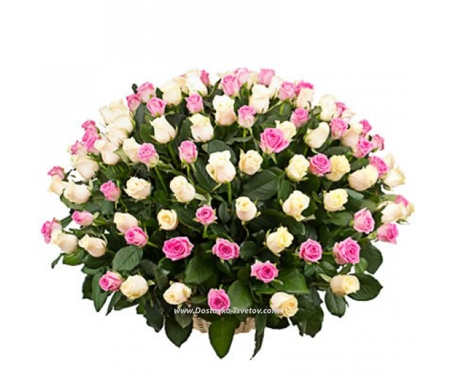 Basket of 101 delicate roses "Sofia"