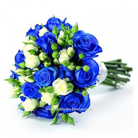 White and blue roses "Blue Velvet"