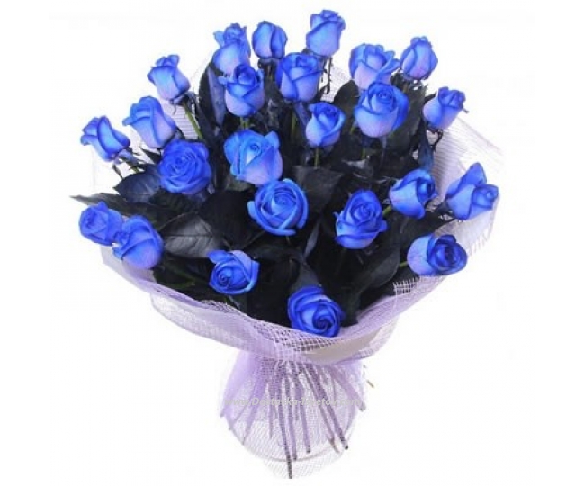Blue roses "Emerald Night"