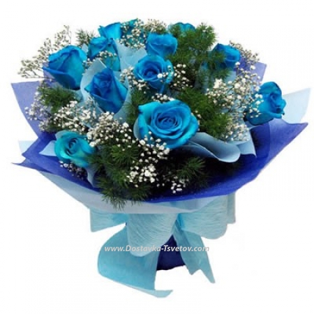 Blue roses "Orlando"