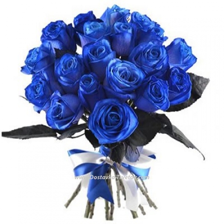 Blue roses "Velvet Life"