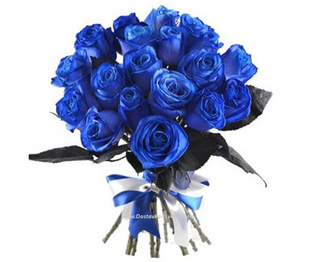 Blue roses "Velvet Life"