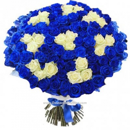 101 Blue and white roses "Mon-Amur"