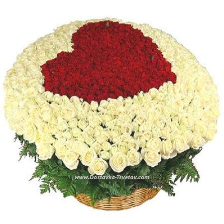 501 roses in a basket "Marilyn Monroe"