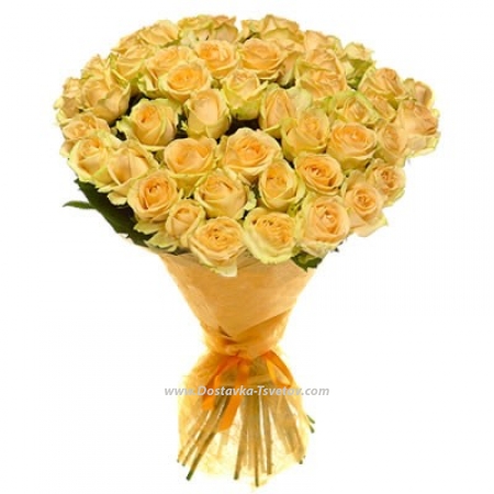 51 cream roses "Golden Morning"