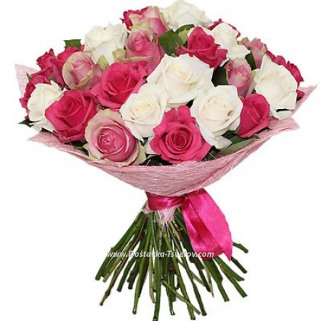 White and pink roses "Happiness"