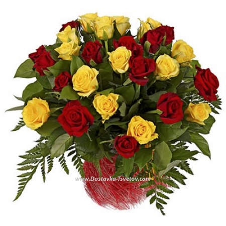 Red and yellow roses "Lyrica"