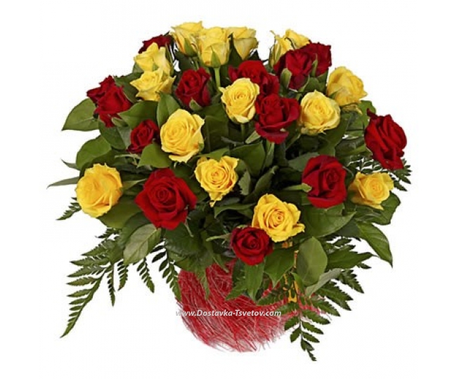 Roses Red and yellow roses "Lyrica"