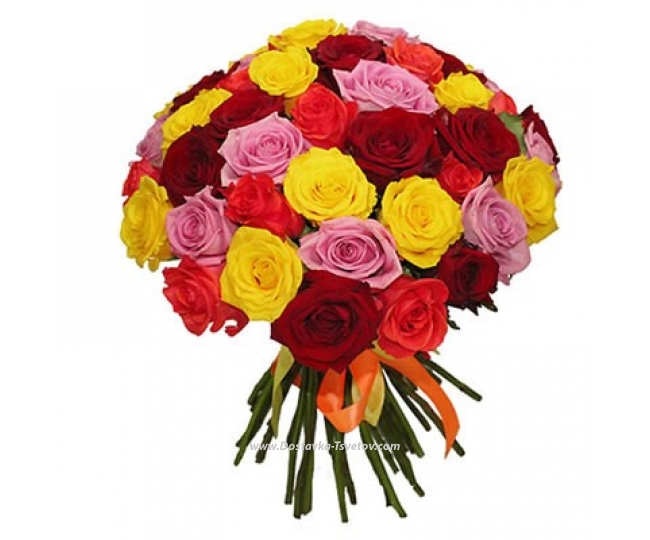 51 Roses Bouquet of colorful roses "Sambo"