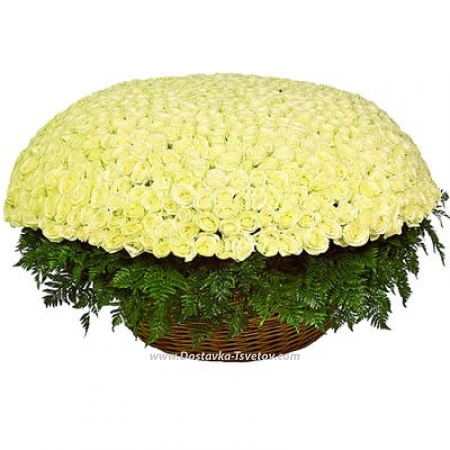 Huge basket 1001 white roses