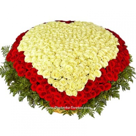 501 roses in a basket "Monica"