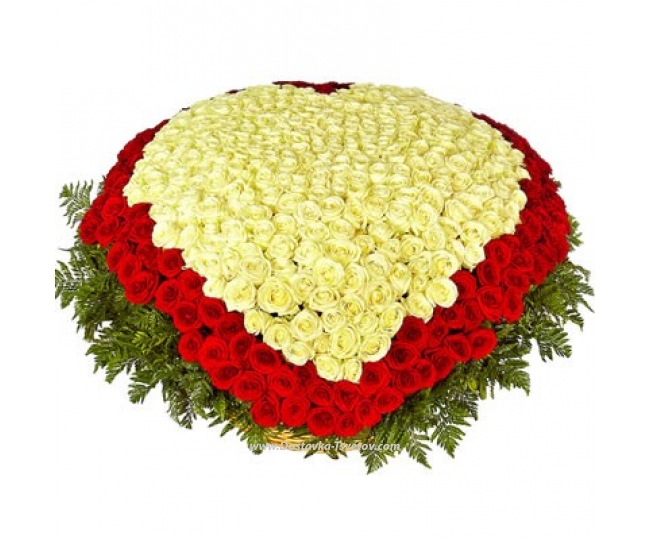 501 roses in a basket "Monica"