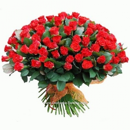 101 Red roses "Magic"