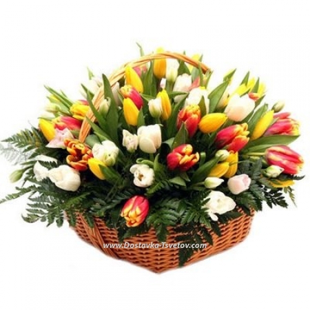 Tulips in the basket "Pearls"