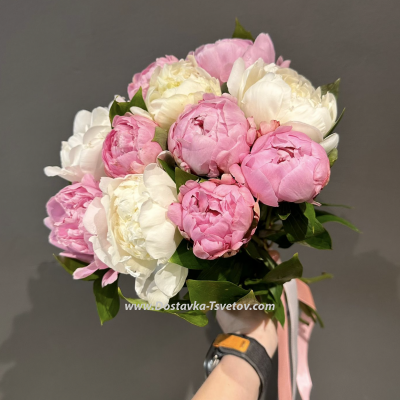 Peonies "Velvet Season"