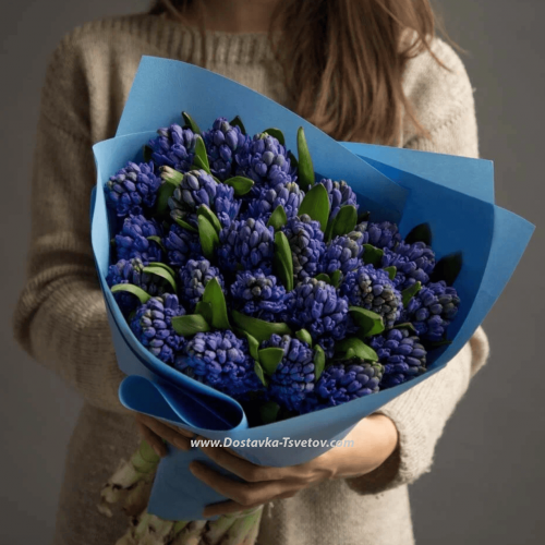 Hyacinths in the bouquet "Twilight"