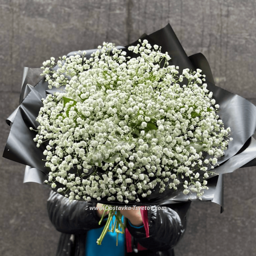 Gypsophila in a bouquet "Zebra"