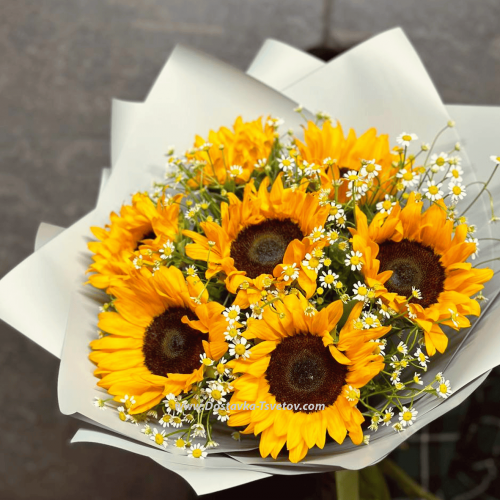 Sunflowers "Bright Smile"