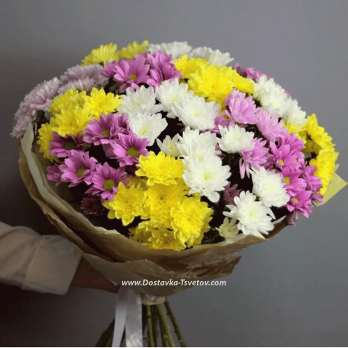 Bouquet of chrysanthemums "Mysterious Morning"