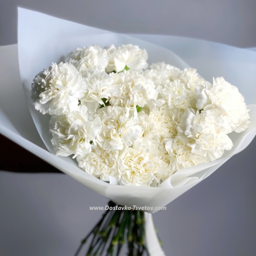 Bouquet "White Dianthus"