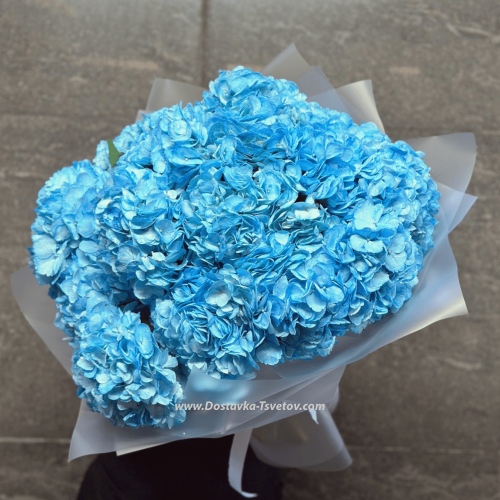 Hydrangea in a bouquet "Blue Sea"