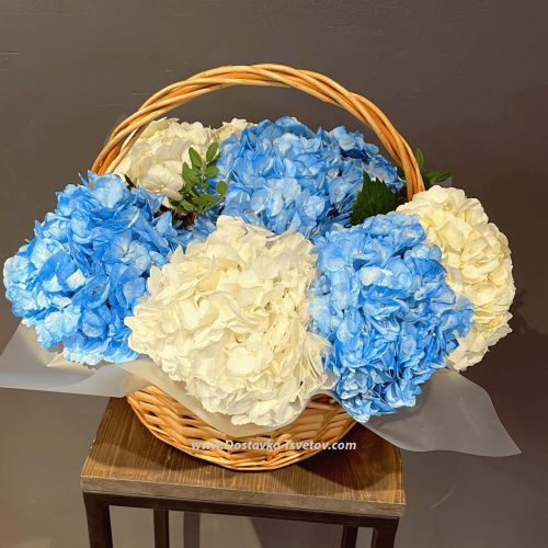 Hydrangea in the basket "Titanic"