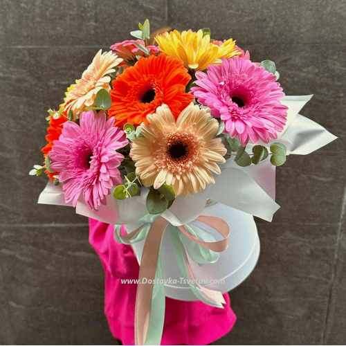 Gerbera in a box "Island"