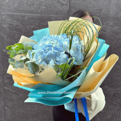 Bouquet of hydrangea "Summer Dew"