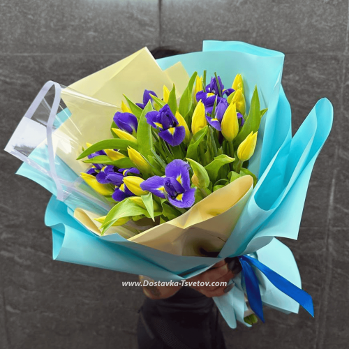 Tulips and irises "Sea Breeze"