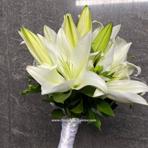 For the bride "Wedding Dress"