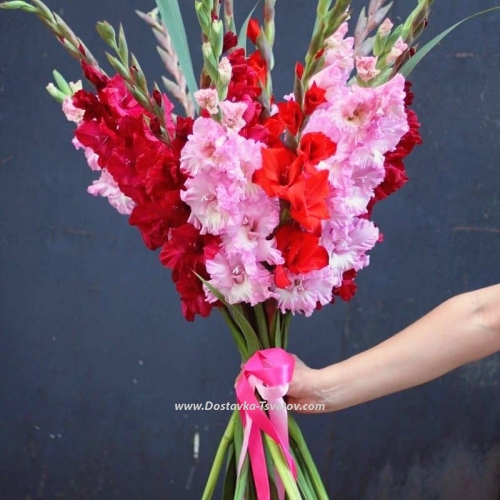 Bouquet of Gladiolus "Bloom"