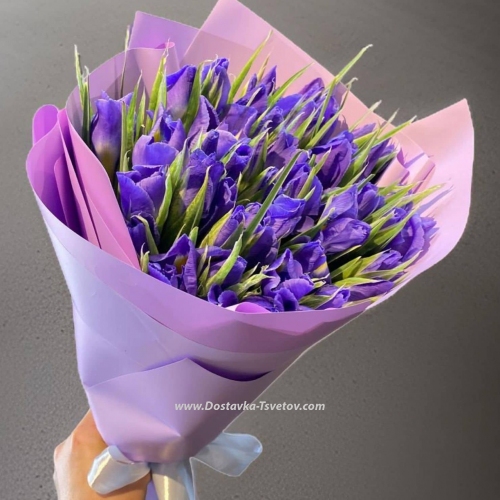Irises blue "River Bank"