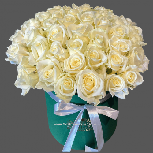 51 White Roses "Tokyo"