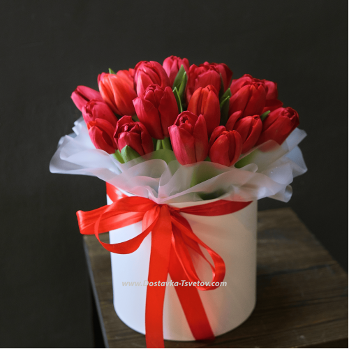 Tulips in a box "JLo"