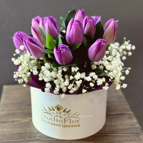 Purple tulips in a box "Countess"