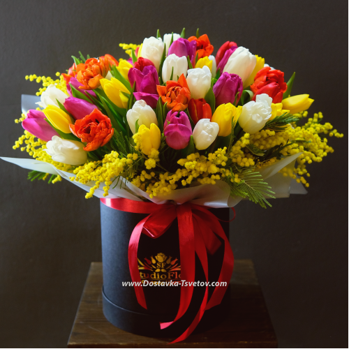 "Arlecchino" tulips in a box