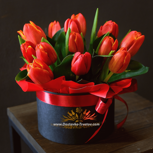 Red Tulips "Passionate Love"