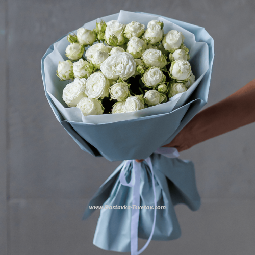 11 bush roses "Necklace"